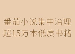 升级内容治理细则,番茄小说集中治理超15万本低质书籍